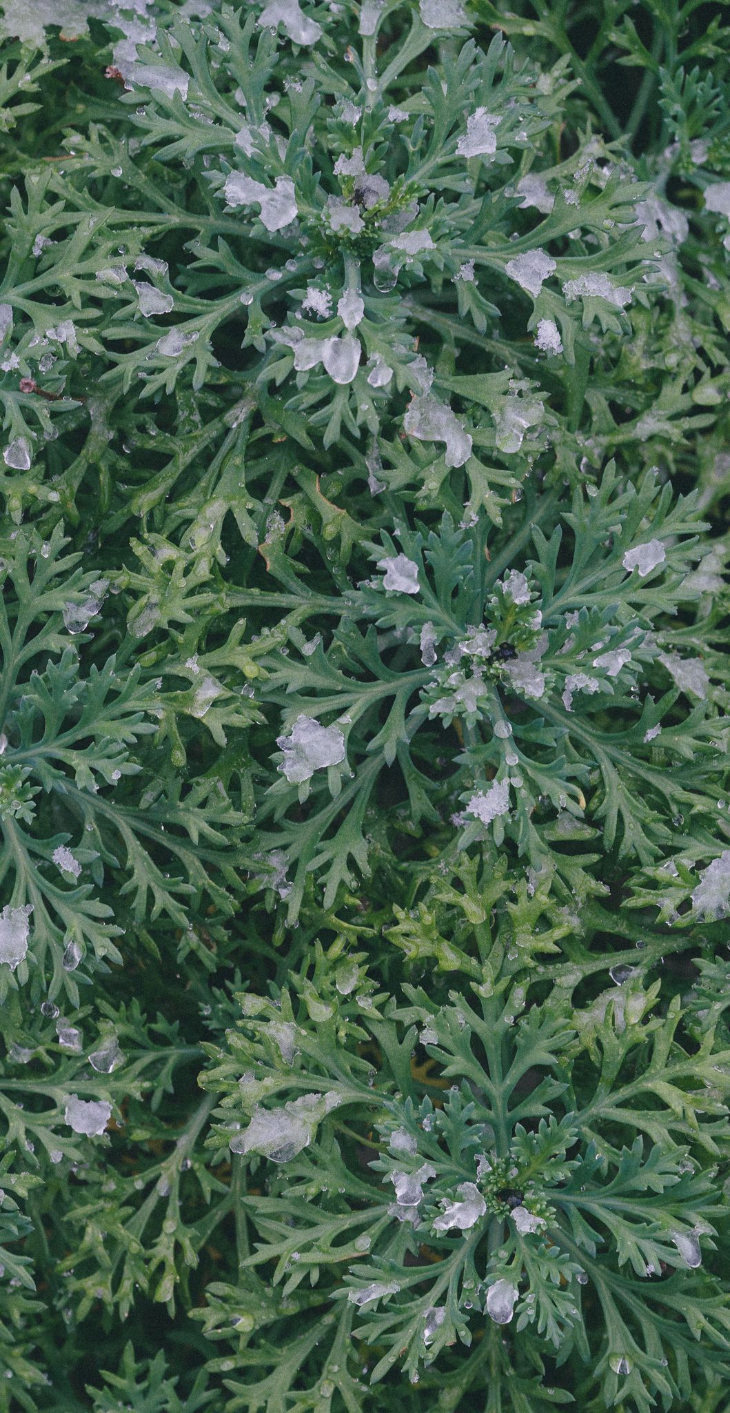 ���ƁE���w�E�i�����߂łƂ��I