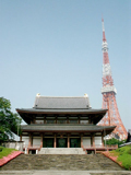 Zoujou-ji with Tokyo tower