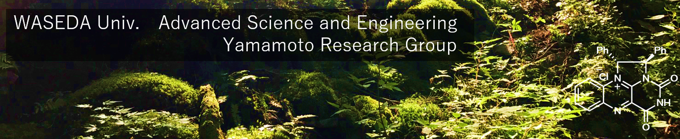 Yamamoto Research Group