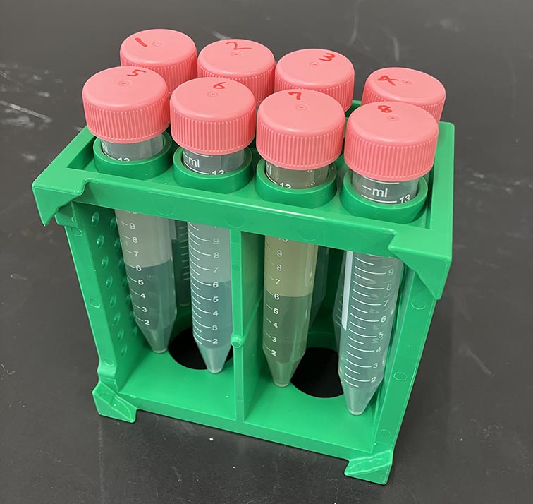 IChO2018実験問題3