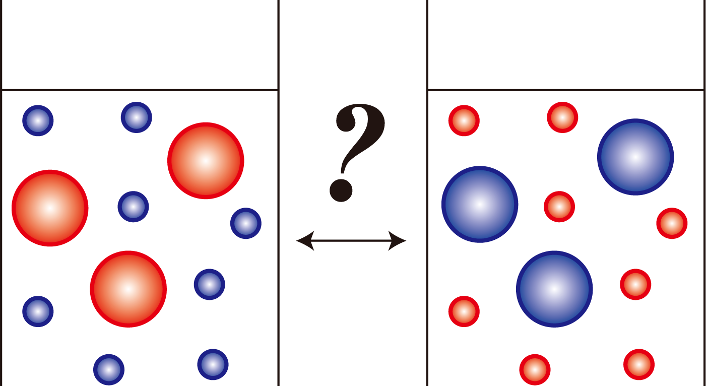 動的光散乱には分子選択性がない