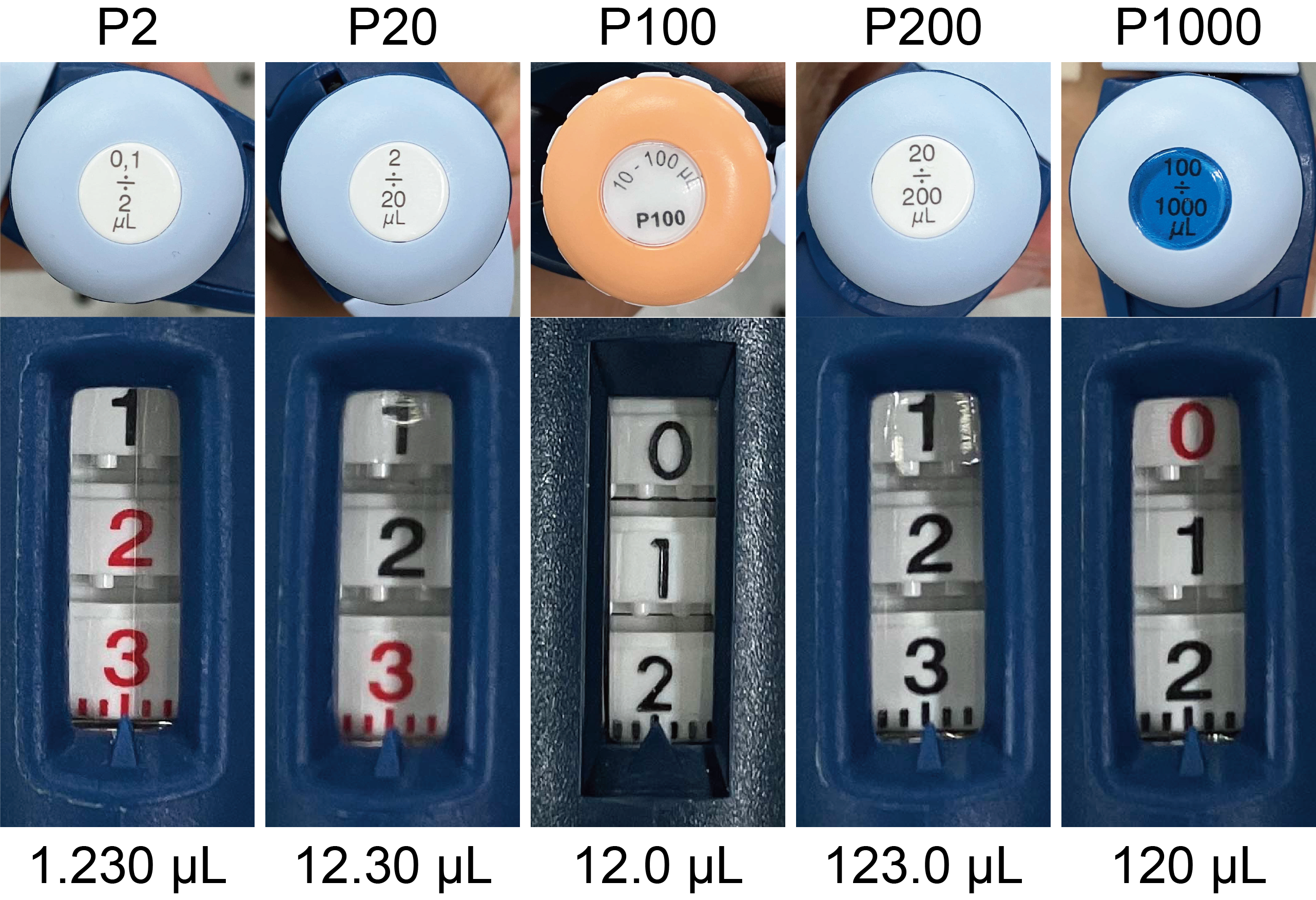 マイクロピペットの読み方