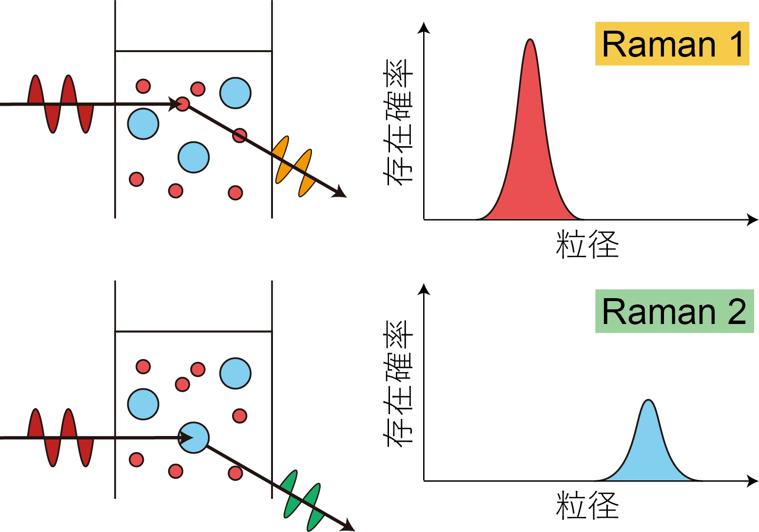 ラマン散乱強度のゆらぎ計測によって分子選択性を実現