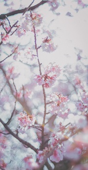 ���ƁE���w�E�i�����߂łƂ��I